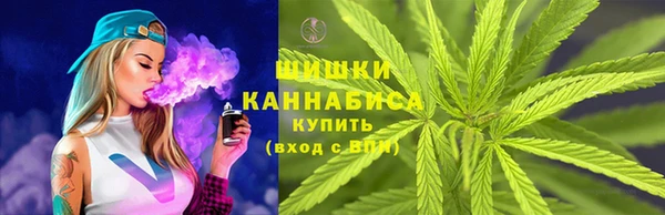 индика Баксан