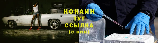 индика Баксан