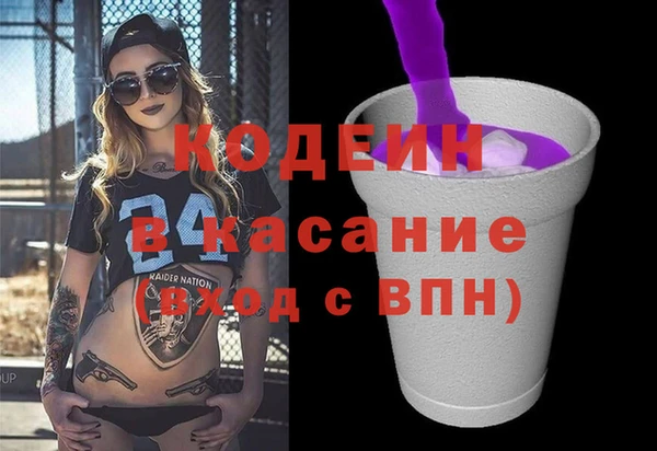индика Баксан